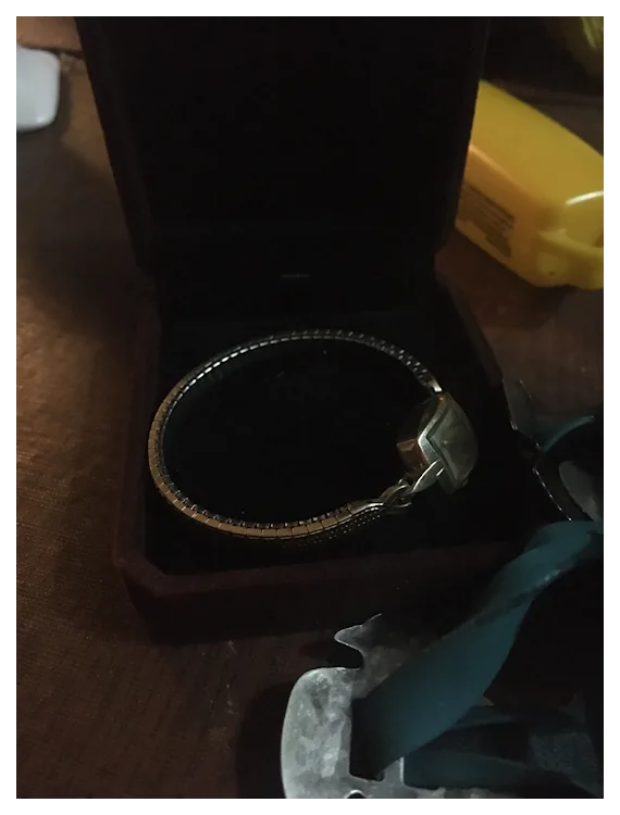 14 kt Gold Hamilton Biggs vintage ladies watch. For Sale at Ruby Lane